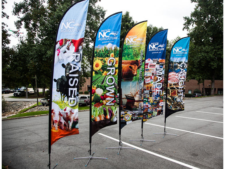 cờ cánh buồm